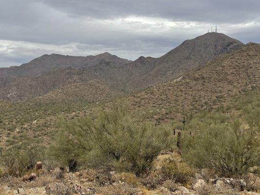 Sonoran desert.