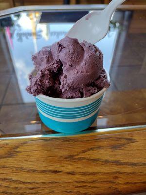 Raspberry chocolate chunk ice cream - yum!