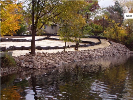 Shoreline Restoration