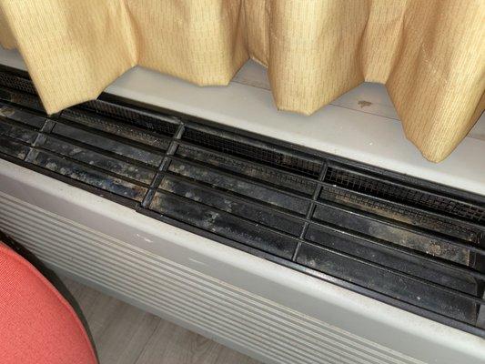 mold in air conditioner