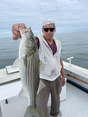 Wellfleet Charters