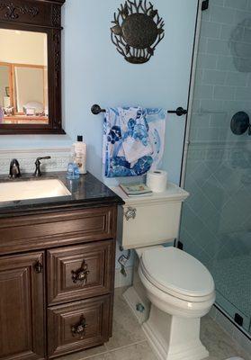 Downstairs guest bathroom, Kohler toilet