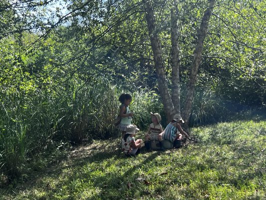 Little Tree Huggers Preschool