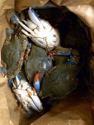 Best Blue Crab we have got from a seafood place in awhile.