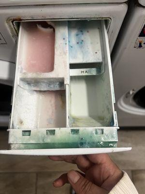 Another dirty washer tray