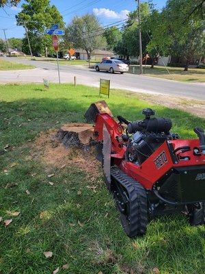 Stump removal