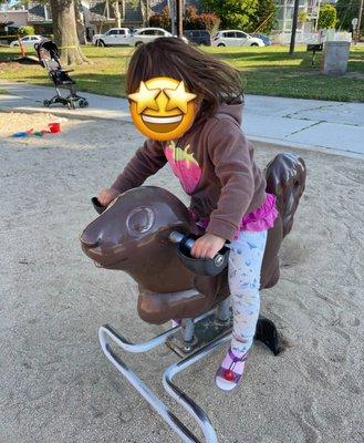 Squirrel bouncy ride