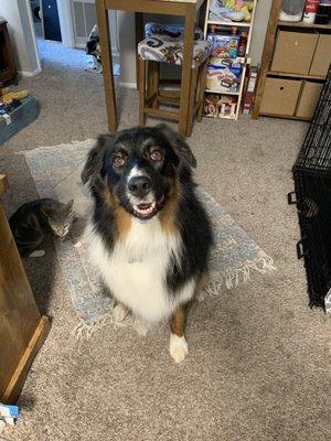 Cheesing after his bath & haircut