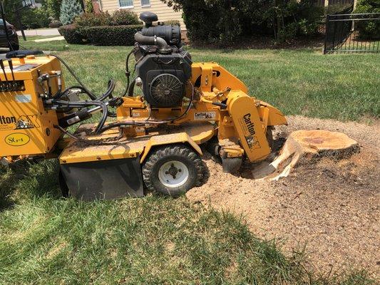 Stump Grinding