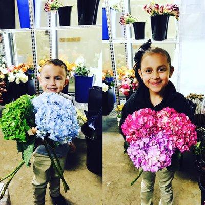 We absolutely  our little designers.Select your own florals and have the privilege to design your own arrangements.