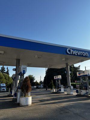 Chevron