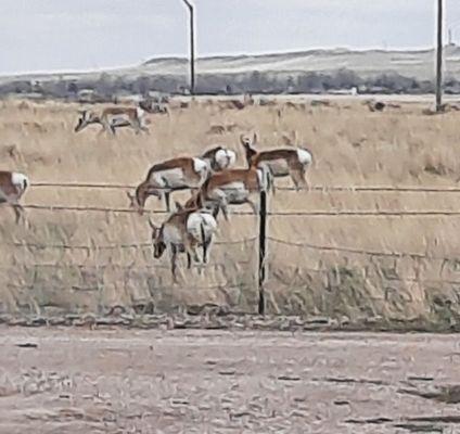 High Plains Campground