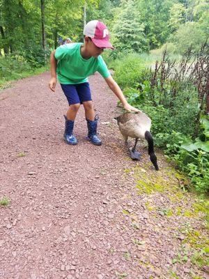 Nice park, friendly fowl, great marina and beautiful lake.