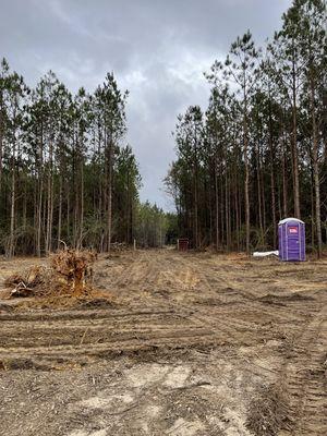 Stump removal