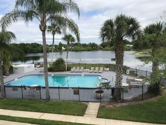 Lakeside pool and palm trees