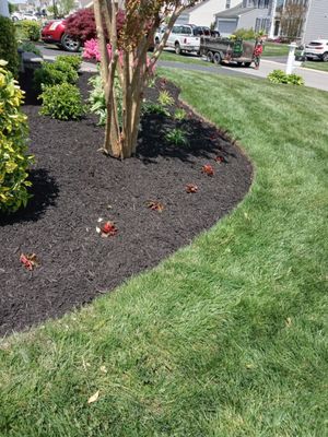 Perez Landscaping Services