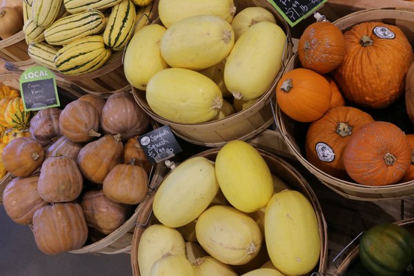 Winter Squash