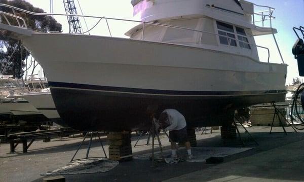 Rex doing an antifouling paint job.