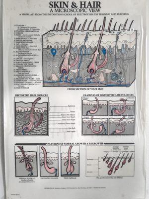 A Soft Touch Electrolysis-Judy Degregorio R E