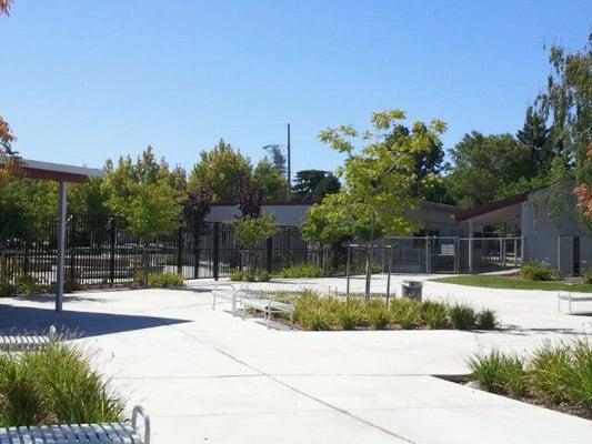 From inside CMS looking towards the preschool.