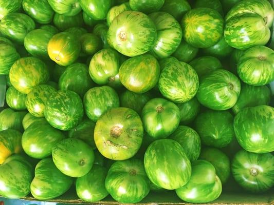 Tomatillo for salsas