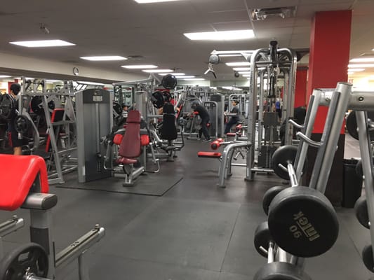 Machines and straight bar rack at Xtreme Fitness