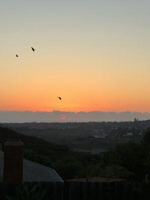 Yoga views you can't beat!