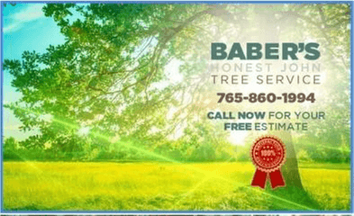 Baber's "Honest John" Tree Service