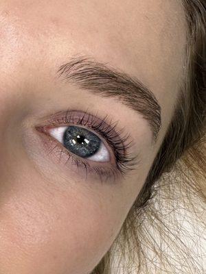 Spa Lashes & Brows