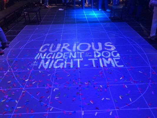 1/5/20. 2pm. Backstage. MLP. Centenary College. The Curious Incident of the Dog in the Night-Time. Read the book. Saw the London production.