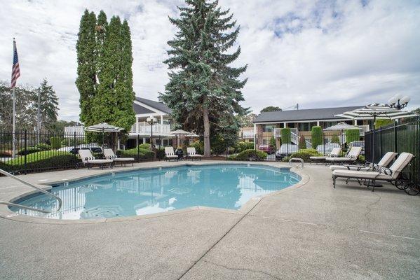 Outdoor pool with greenery surrounding to provide a tranquil feel as you enjoy our rejuvenating pool!