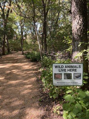 Paths around Nature Center