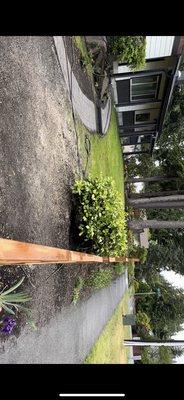 Tree removed , flower beds clean up