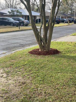 Clean up and mulch application