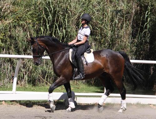 Student Linda Goodfriend and her horse Othello