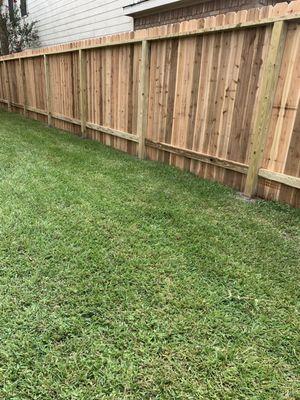 New fence