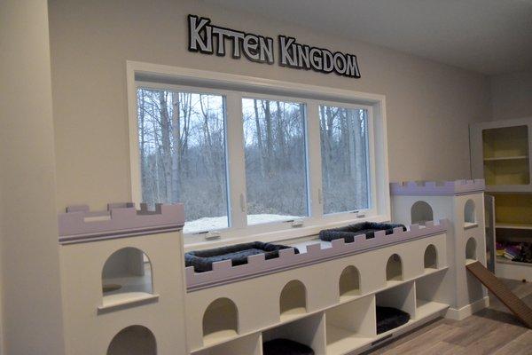 Kittens have their very own kingdom at Pet Pride Cat Sanctuary and Adoption Center!