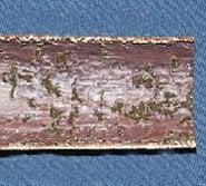 Untreated copper pipe