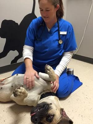 Dr. Ginger does what it takes to help pets feel at ease during the appointment.