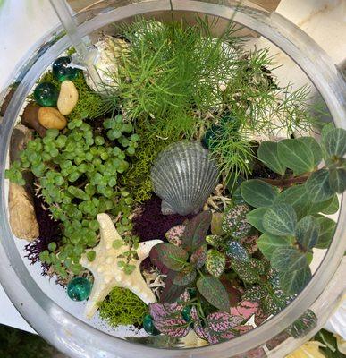 Terrarium Bowl