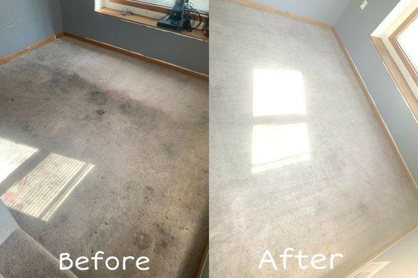 Carpet Cleaning: