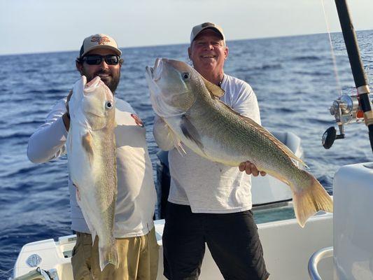 Some Tasty Golden Tilefish!