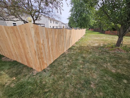 6Ft swooped cedar fence