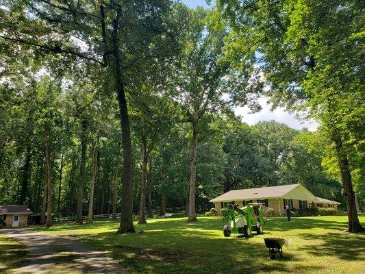 60 ft Nifty Lift to make tree cutting easier and safer.