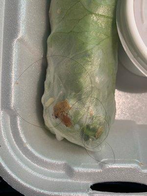 Spring roll