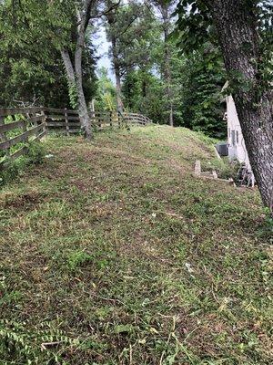 Clearing up backyard landscaping