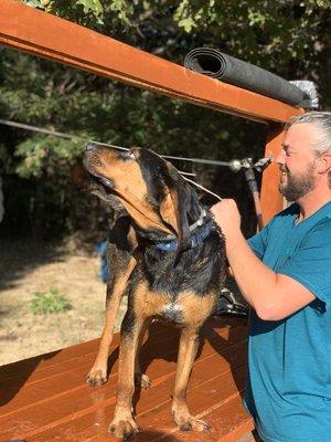 Beau loves being rubbed on his rump during bath time. He does a little dance with his rear end!!!