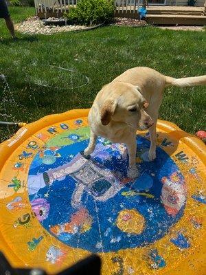 Now she can play in her sprinkler pool