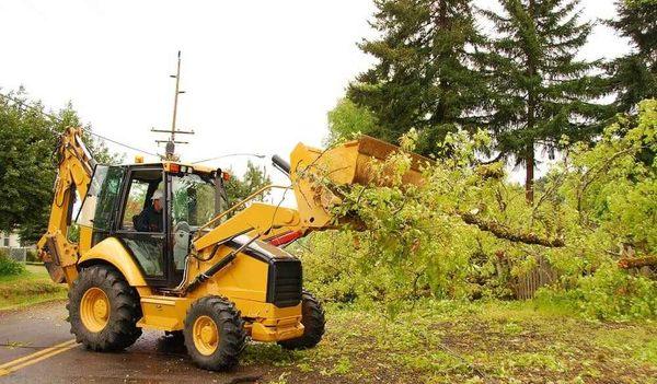 Rock Hill SC Tree Service