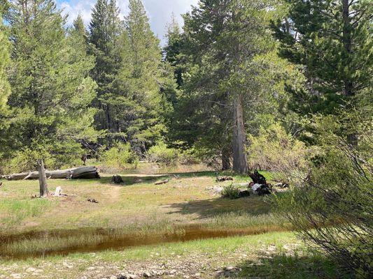 Washoe Meadows State Park